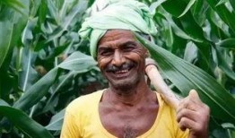 网红吃老汉瓜是谁发明的,揭秘创新美食背后的传奇发明者